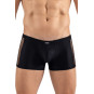 Boxer noir Daring