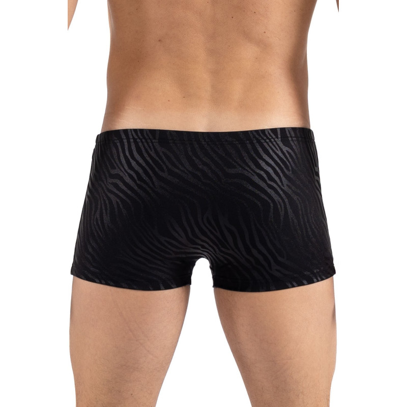 Boxer noir &amp; gold Zebra