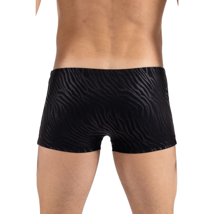 Boxer noir &amp; gold Zebra