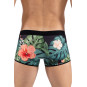 Boxer imprimé arome AROM