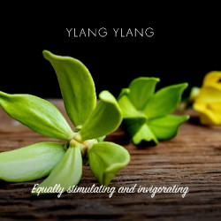 Friendly Soap přírodní mýdlo ylang ylang