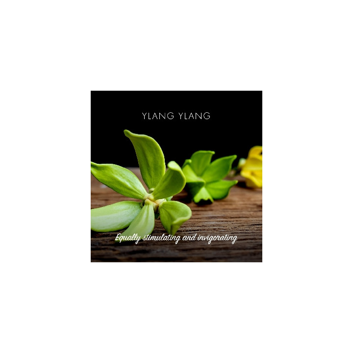 Friendly Soap přírodní mýdlo ylang ylang 7ks zero waste balení