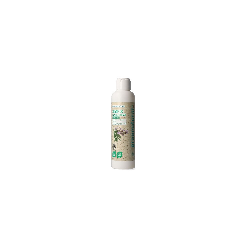 Greenatural Šampon pro mastné vlasy proti lupům šalvěj a kopřiva BIO 250 ml