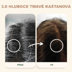 Emblica Přírodní rostlinná barva na vlasy 3.0 hluboce tmavě kaštanová BIO 100 g