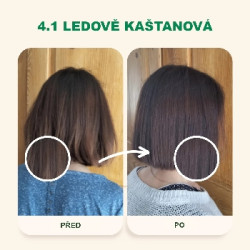 Emblica Přírodní rostlinná barva na vlasy 4.1 ledově kaštanová BIO 100 g