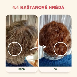 Emblica Přírodní rostlinná barva na vlasy 4.4 kaštanově hnědá BIO 100 g
