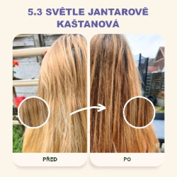 Emblica Přírodní rostlinná barva na vlasy 5.3 světle jantarově kaštanová BIO 100 g