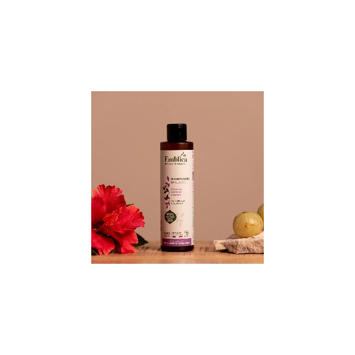 Emblica Šampon pro lesk vlasů BIO 200 ml