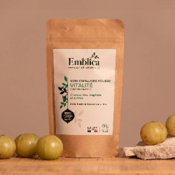 Emblica Revitalizační pudrová péče o vlasy BIO 100 g