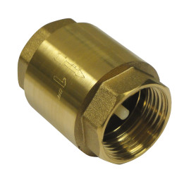 Clapet de non-retour 1 - Master Pumps