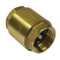 Clapet de non-retour 1 - Master Pumps