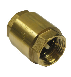 Clapet de non-retour 1 - Master Pumps
