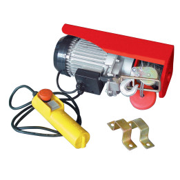 Palan électrique 1000W 250/500KG