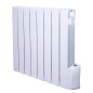 Radiateur à inertie fluide 1200W 8 éléments - Warm Tech