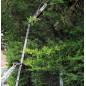 Scie à ébrancher sur perche 710W Guide Oregon 24cm