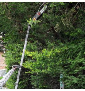 Scie à ébrancher sur perche 710W Guide Oregon 24cm