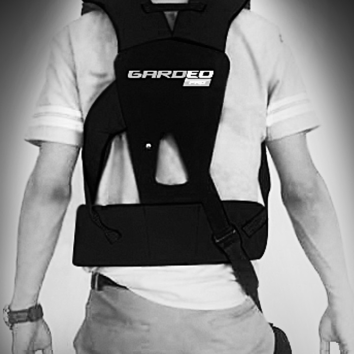 Kit protection visage + harnais universel - Gardeo