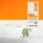 Radiateur sèche serviettes avec fluide 750W + soufflerie 1000W - Warm Tech