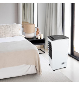 Rafraichisseur d'air 75W - 4L