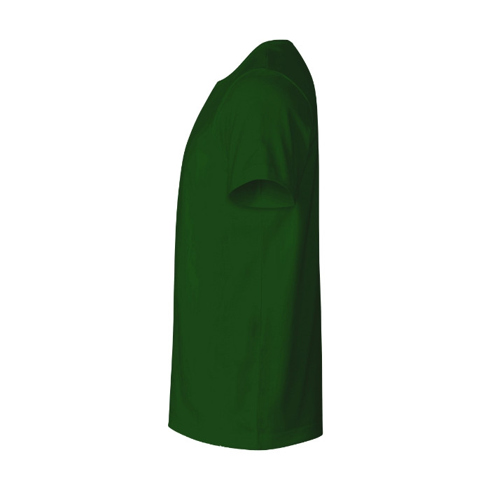 Tee-shirt homme Resist heavy R03 - vert bouteille