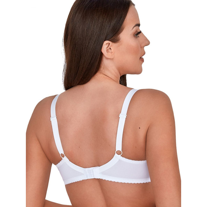 Soft model 189339 Gaia