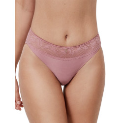 Culotte MALITZIA