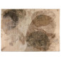 Tapis Aloyse Bronze 160 x 230