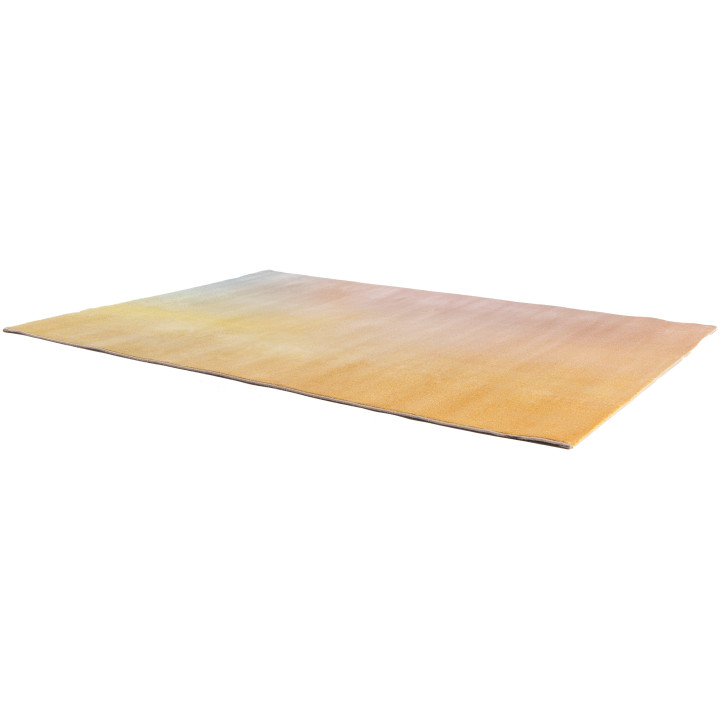 Teppich Caro Multicolore 160 X 230
