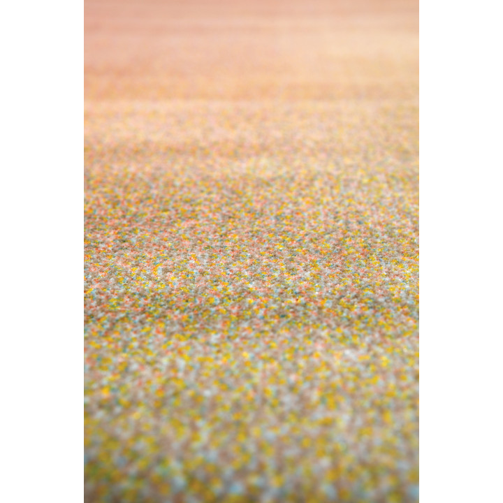 Tapis Caro Multicolore 160 x 230