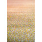 Tapete Caro Multicolore 160 X 230