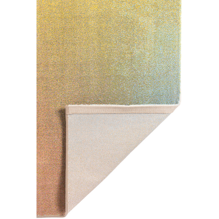 Teppich Caro Multicolore 160 X 230