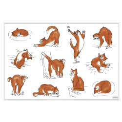Set de table Journée du chat Assortis 30 x 45