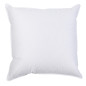 Kussenvulling Plumes Blanc 80 X 80