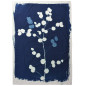 Pareo Eucalyptus Bleu 180 X 130