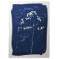 Paréo Gypso Bleu 180 x 130