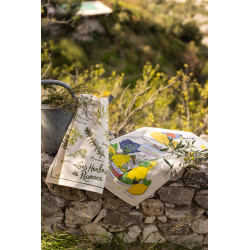 Pano de prato estampado Les herbes de Provence Écru 48 X 72