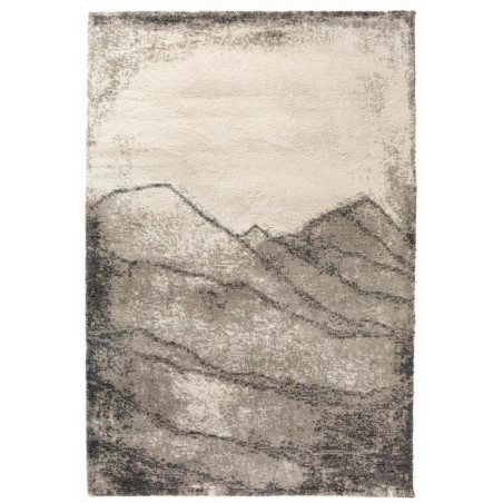 Teppich Pio Naturel 200 X 290