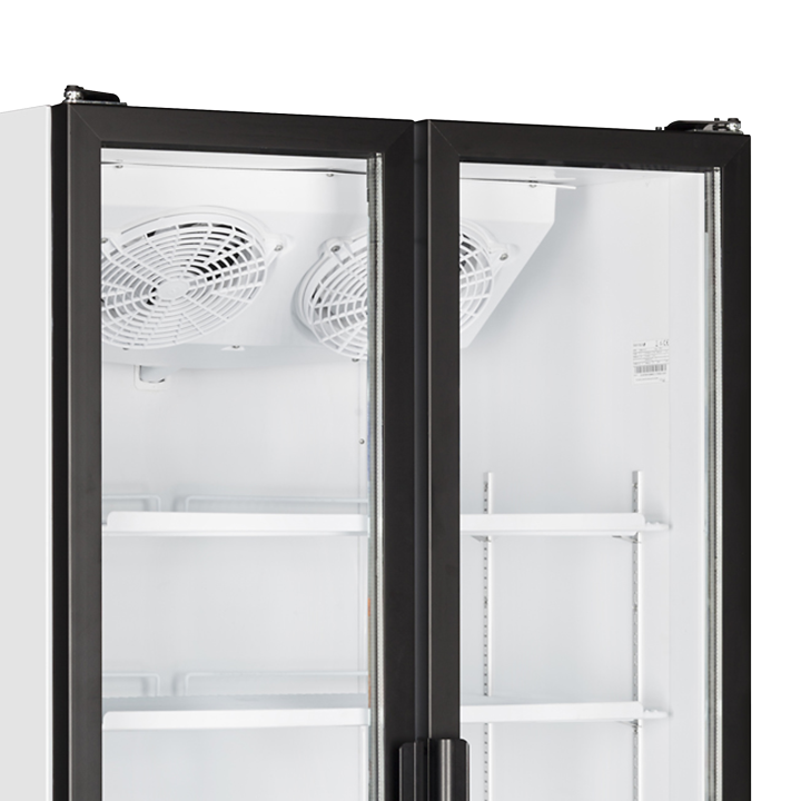 Refroidisseur de présentation FS890H