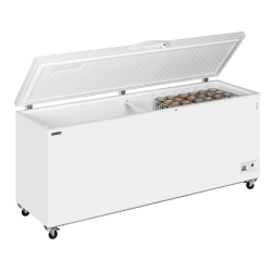 Congélateur de crème glacée CF700 SL