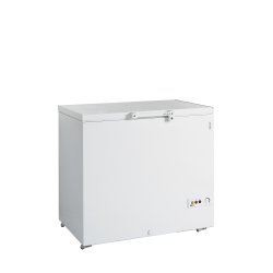 Congélateur de crème glacée FR305 SL