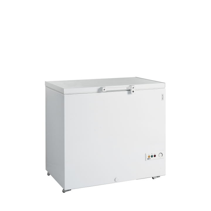 Congélateur de crème glacée FR305 SL