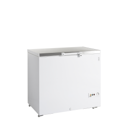 Congélateur de crème glacée FR305S SL