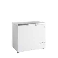 Congélateur de crème glacée FR305S SL