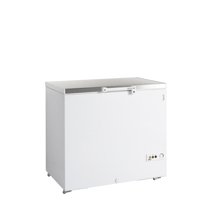 Congélateur de crème glacée FR305S SL