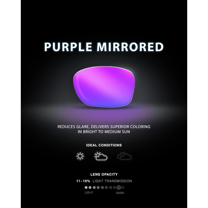 Lunettes de soleil polarisées ANCITA HTS purple black 526|TYR — Noir · Taille TU