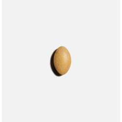 Complément alimentaire NuPower |NUTRITING — 120 Comprimés · Taille TU