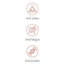 Complément alimentaire NuPower |NUTRITING — 120 Comprimés · Taille TU