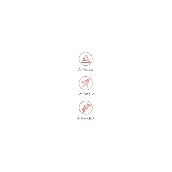 Complément alimentaire NuPower |NUTRITING — 120 Comprimés · Taille TU
