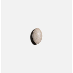Complément alimentaire Numove | NUTRITING — 120 Comprimés · Taille TU