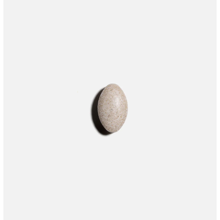 Complément alimentaire Numove | NUTRITING — 120 Comprimés · Taille TU